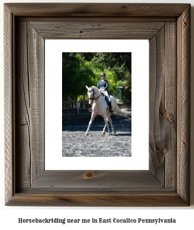 horseback riding near me in East Cocalico, Pennsylvania